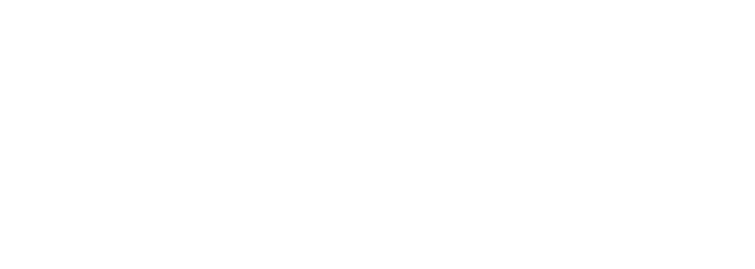 NLL 811 Reversed logo